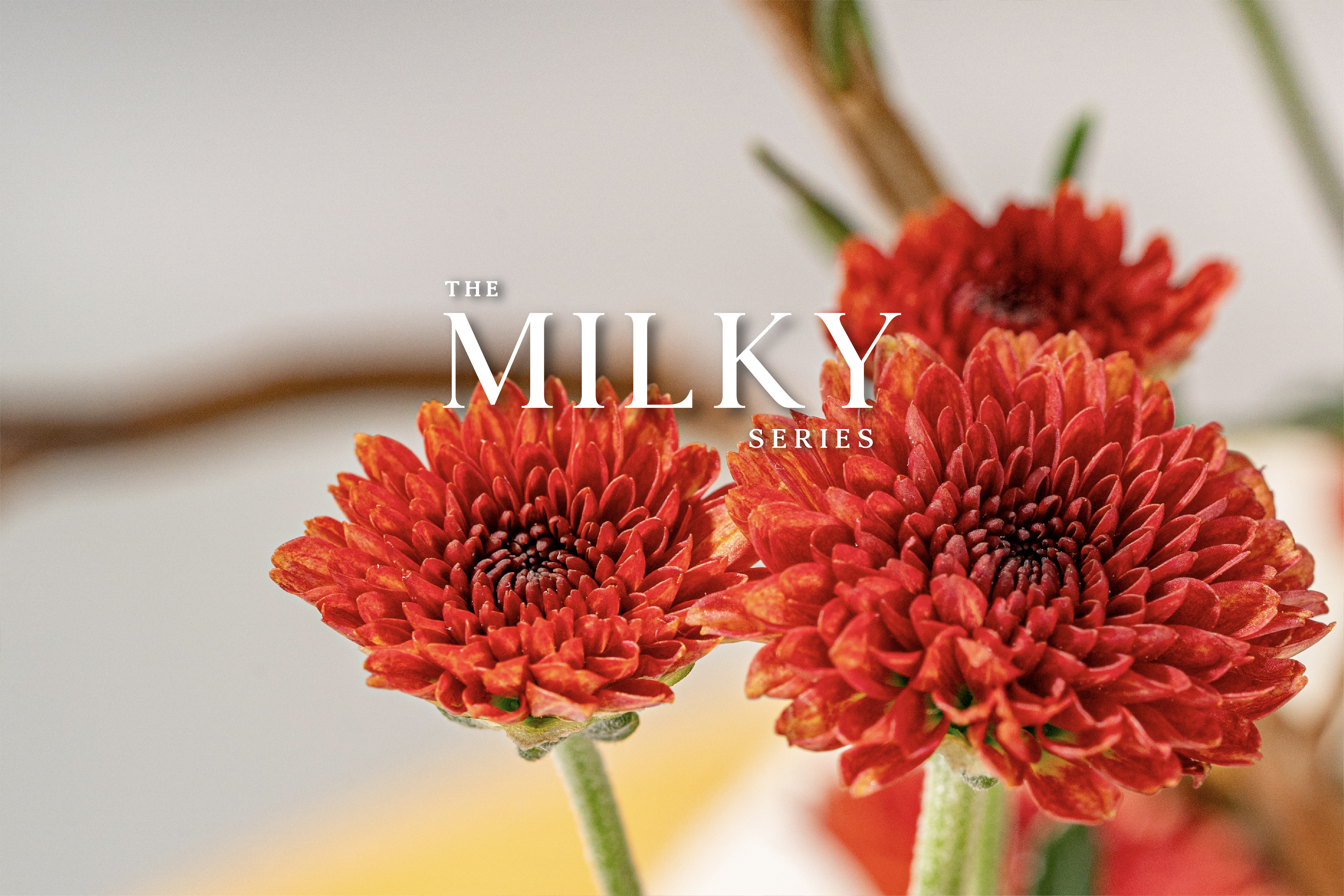 The Milky Series
